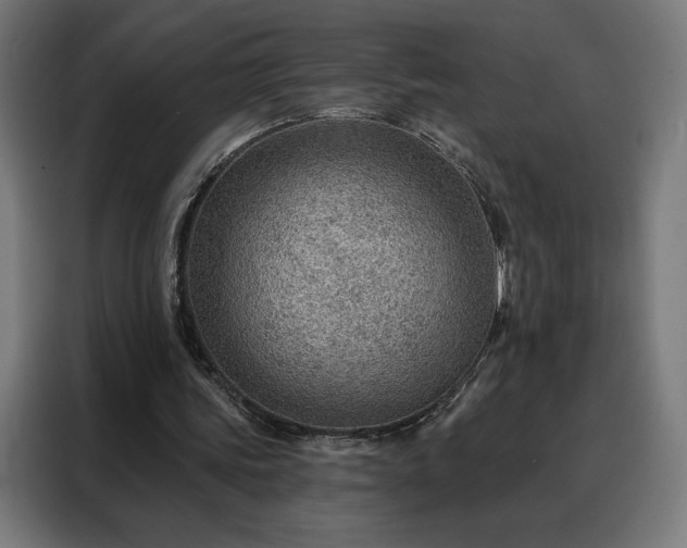 X0000088160339200705221605