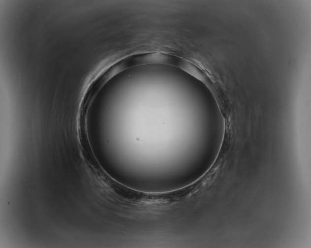 X0000088160340200705221605