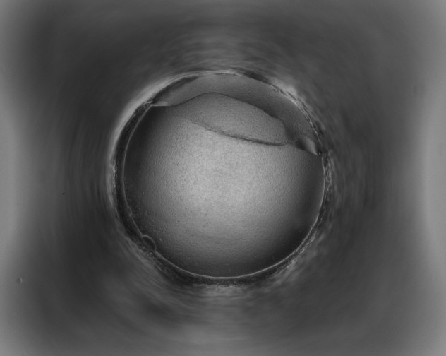 X0000088160342200705221605