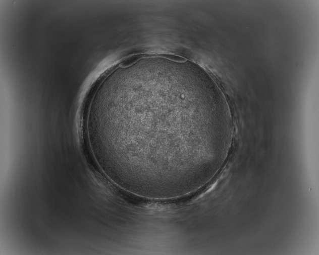 X0000088160343200705221605