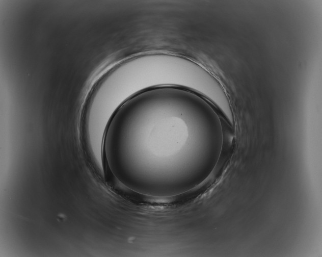X0000088160344200705221605