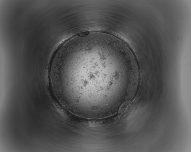 X0000088160345200705221605