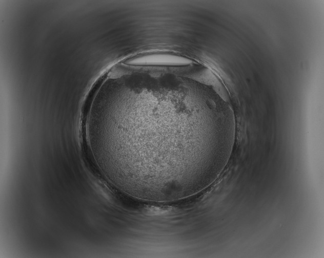 X0000088160346200705221605