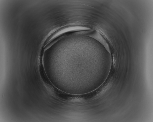 X0000088160348200705221605