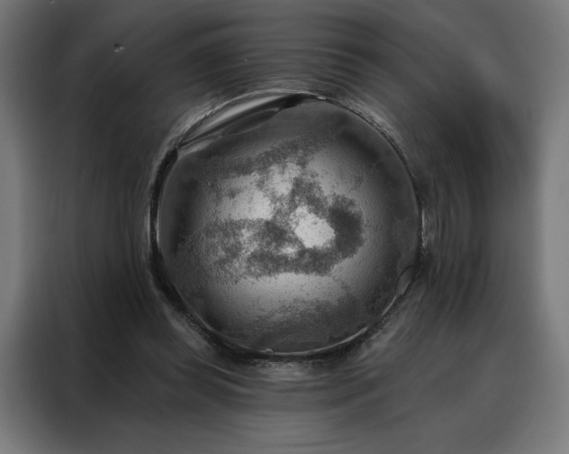 X0000088160349200705221605
