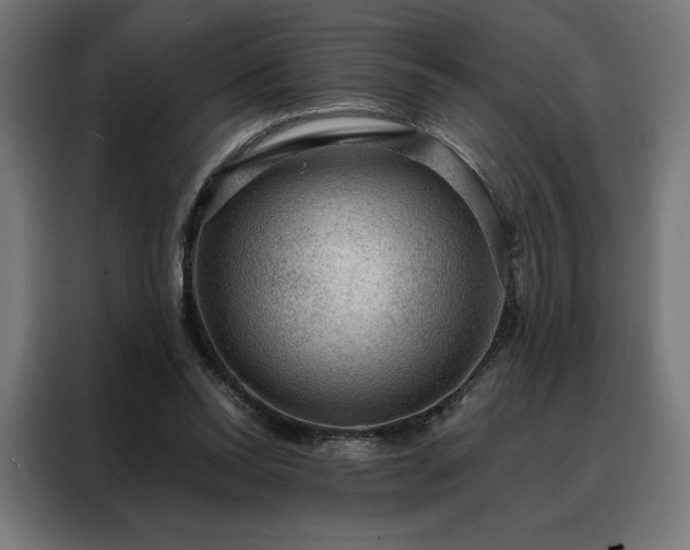 X0000088160350200705221605