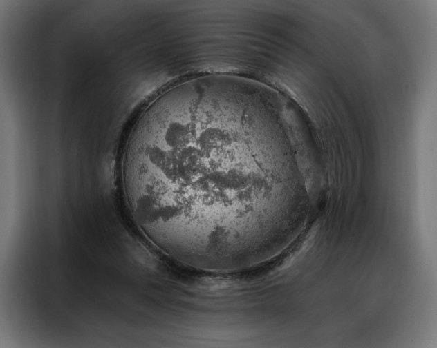 X0000088160351200705221605