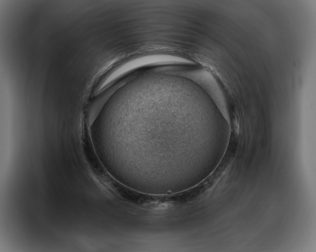 X0000088160352200705221605