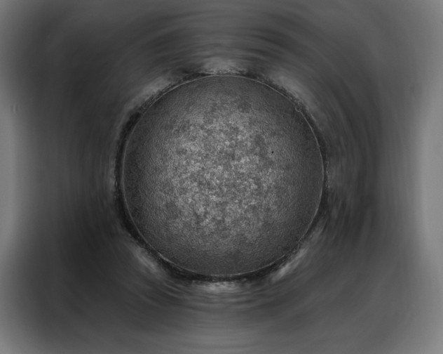 X0000088160353200705221605