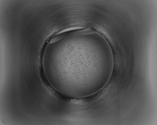 X0000088160354200705221605