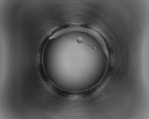 X0000088160356200705221605