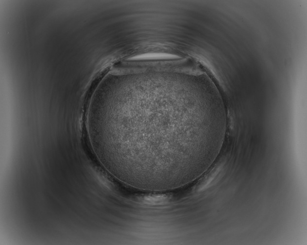 X0000088160357200705221605
