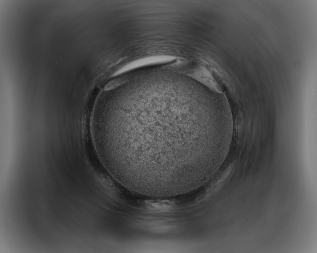 X0000088160359200705221605