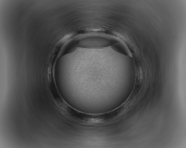 X0000088160360200705221605
