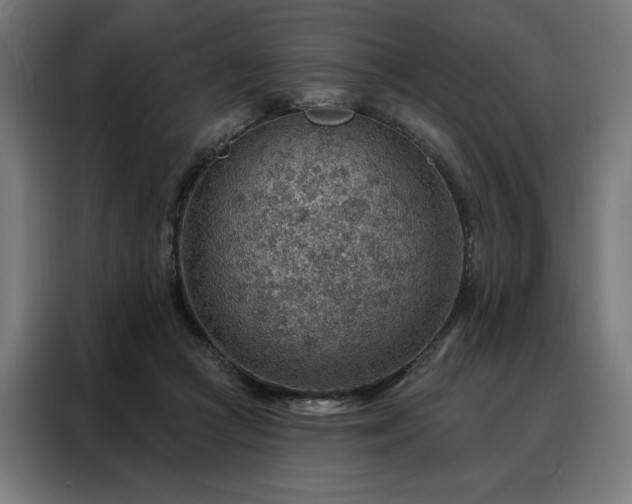 X0000088160361200705221605
