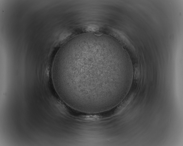 X0000088160363200705221605