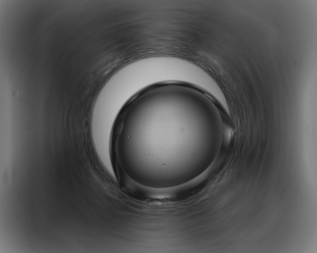X0000088160364200705221605