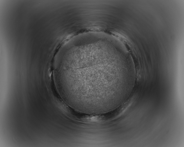 X0000088160365200705221605
