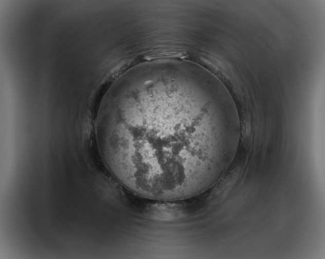 X0000088160367200705221605