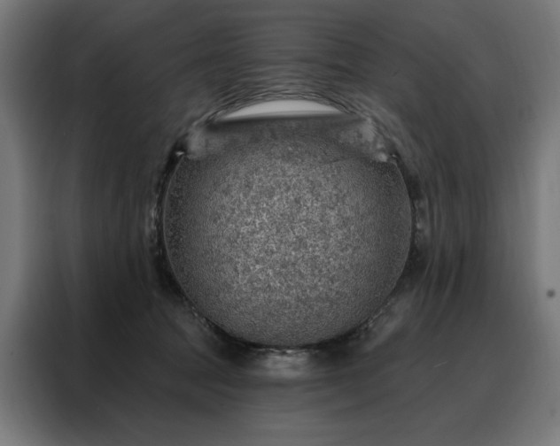 X0000088160369200705221606