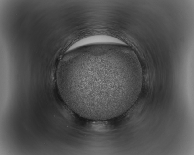 X0000088160373200705221606