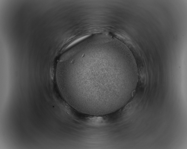 X0000088160374200705221606
