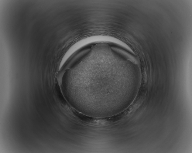 X0000088160376200705221606