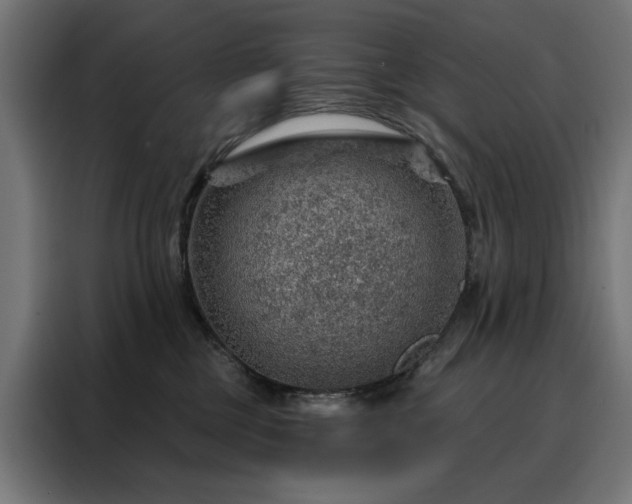 X0000088160377200705221606