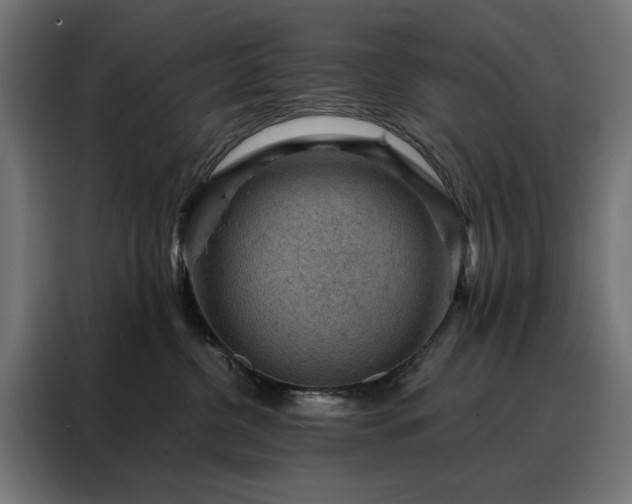 X0000088160380200705221606