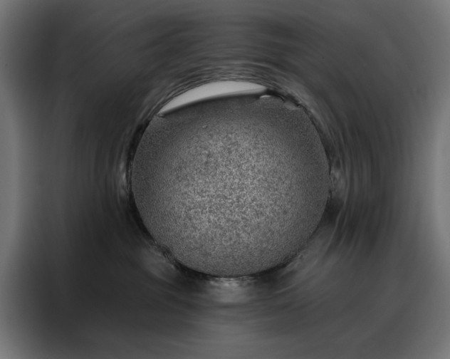 X0000088160381200705221606