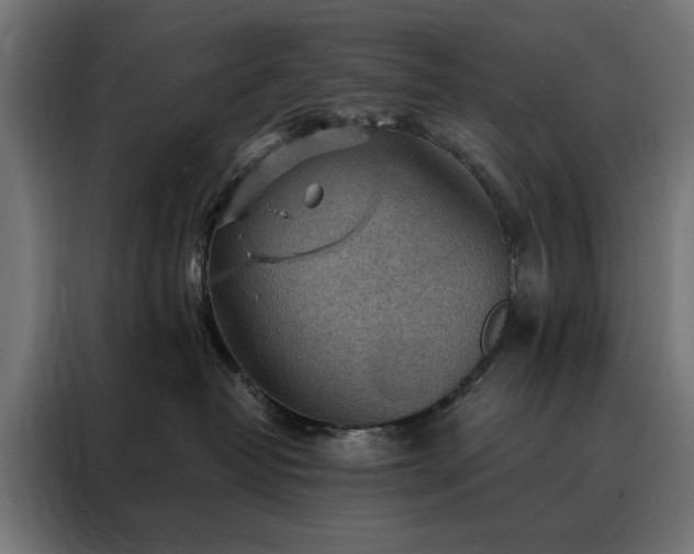 X0000088160382200705221606