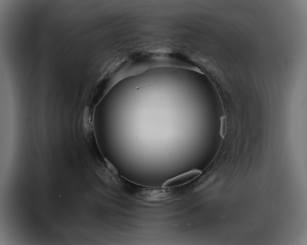 X0000088160384200705221606