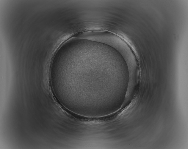 X0000088160385200705221605