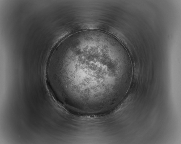 X0000088160386200705221605