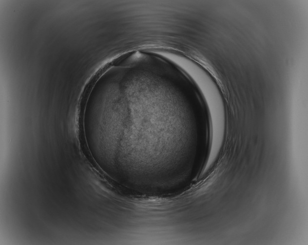 X0000088160387200705221605
