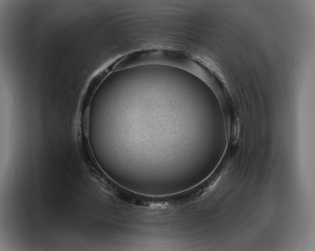 X0000088160388200705221605