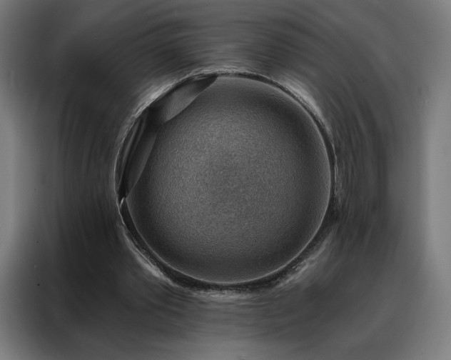 X0000088160389200705221605