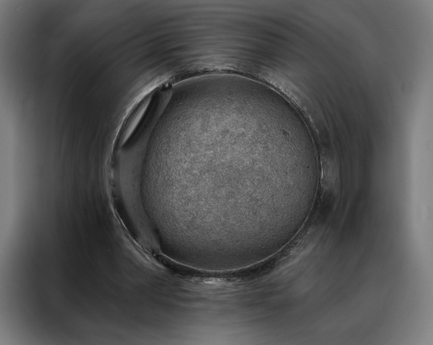 X0000088160390200705221605