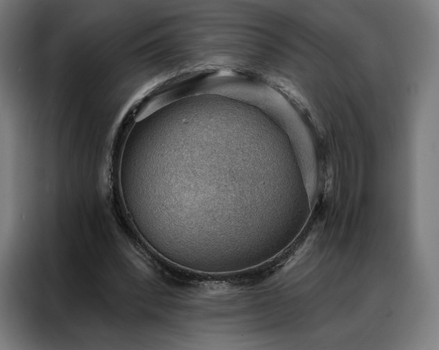 X0000088160392200705221605