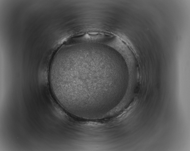 X0000088160393200705221605