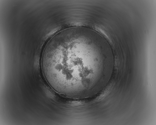 X0000088160394200705221605