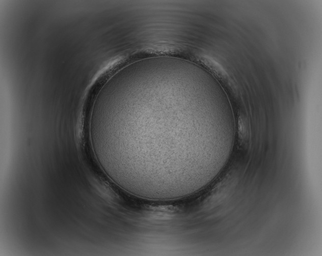 X0000088160396200705221605