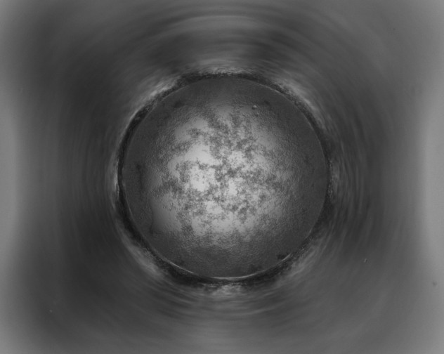X0000088160398200705221605