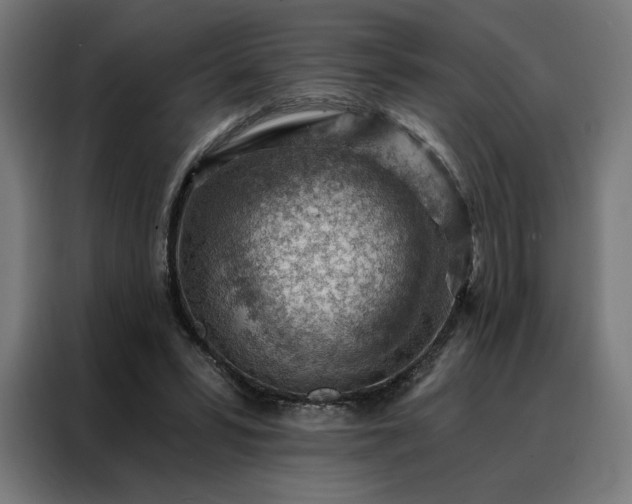 X0000088160399200705221605