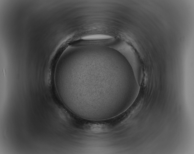 X0000088160400200705221605