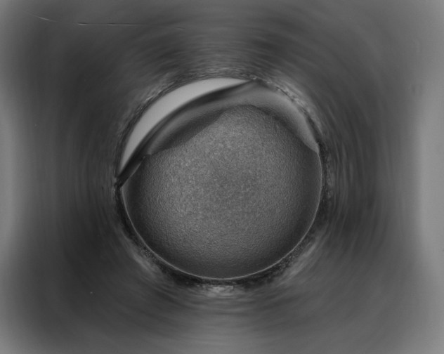 X0000088160401200705221605