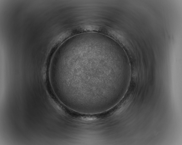 X0000088160402200705221605