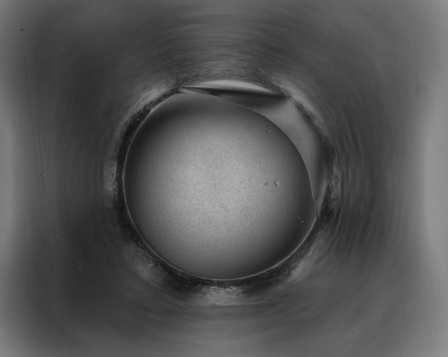 X0000088160403200705221605