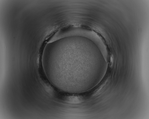 X0000088160404200705221605