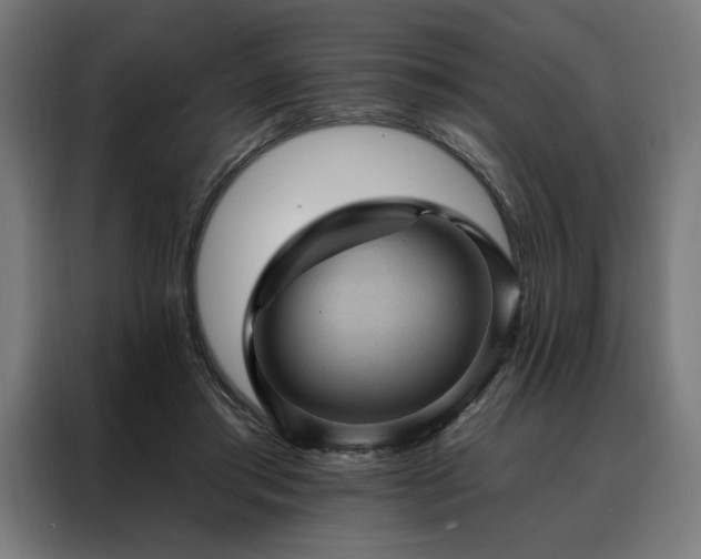X0000088160405200705221605